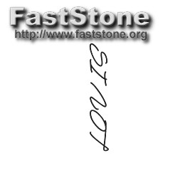 I Need a Professional Logo